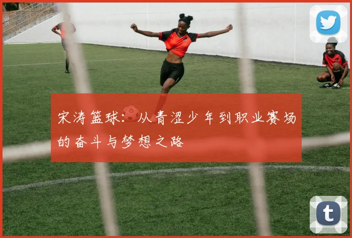 宋涛篮球：从青涩少年到职业赛场的奋斗与梦想之路