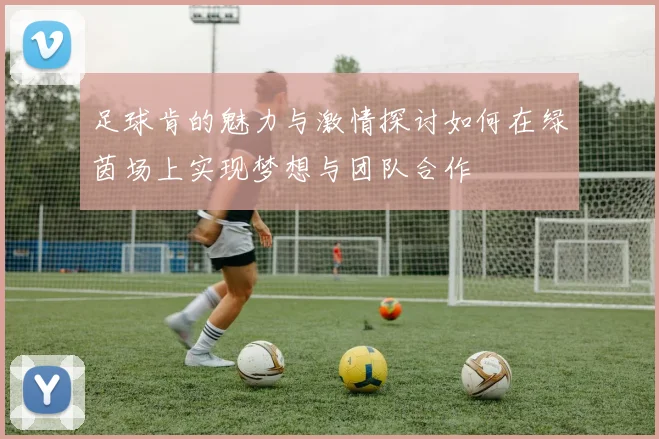 足球肯的魅力与激情探讨如何在绿茵场上实现梦想与团队合作